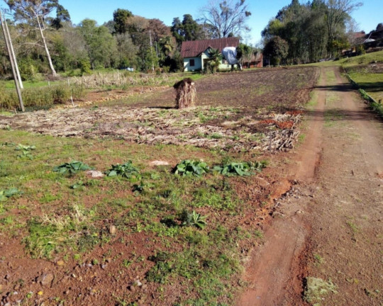 Imagem Imóvel à Venda, 6.352 m² em Piá - Nova Petrópolis Imagem Imóvel à Venda, 6.352 m² em Piá - Nova Petrópolis