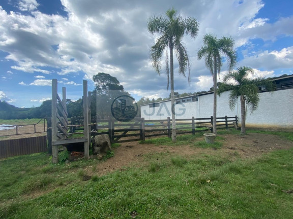 Imagem Imóvel com 6 Quartos à Venda, 3.000 m² em Distrito Industrial - Campina Grande Do Sul Imagem Imóvel com 6 Quartos à Venda, 3.000 m² em Distrito Industrial - Campina Grande Do Sul