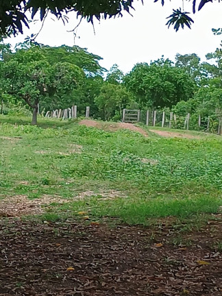 Imagem Fazenda à Venda, 500 m² em Zona Rural - Paranã Imagem Fazenda à Venda, 500 m² em Zona Rural - Paranã