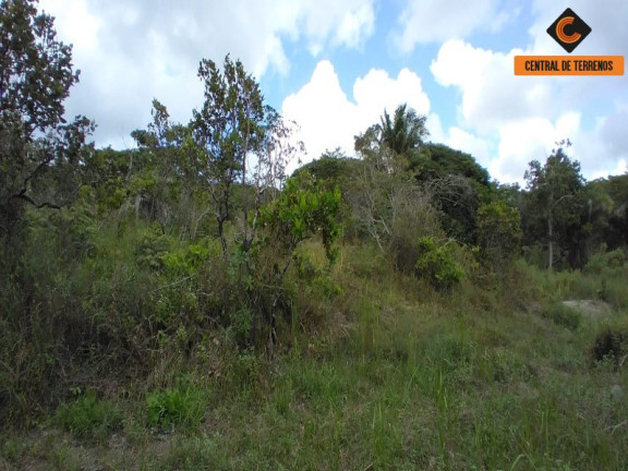 Imagem Terreno à Venda, 27.900 m² em Parafuso - Camaçari Imagem Terreno à Venda, 27.900 m² em Parafuso - Camaçari