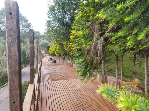 Imagem Casa com 5 Quartos à Venda, 3.100 m² em Campos Do Jordão Imagem Casa com 5 Quartos à Venda, 3.100 m² em Campos Do Jordão