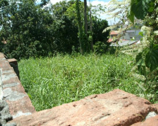 Terreno à Venda, 720 m² em Vila Granada - São Paulo