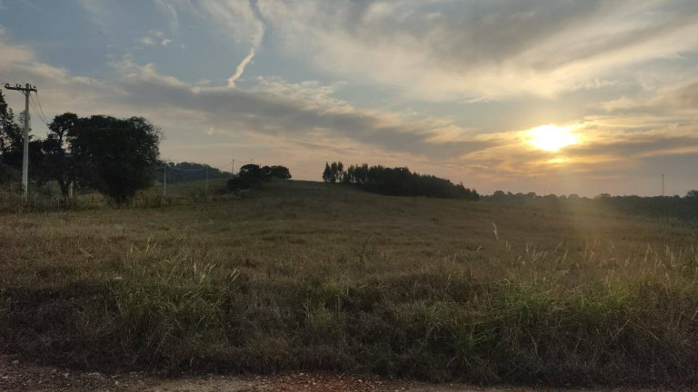 Imagem Fazenda à Venda, 1 m² em Morro Alto - Itapetininga Imagem Fazenda à Venda, 1 m² em Morro Alto - Itapetininga