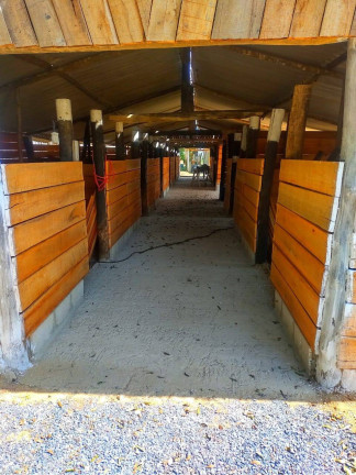 Imagem Chácara com 5 Quartos à Venda, 24.000 m² em Congonhas - Sarapuí