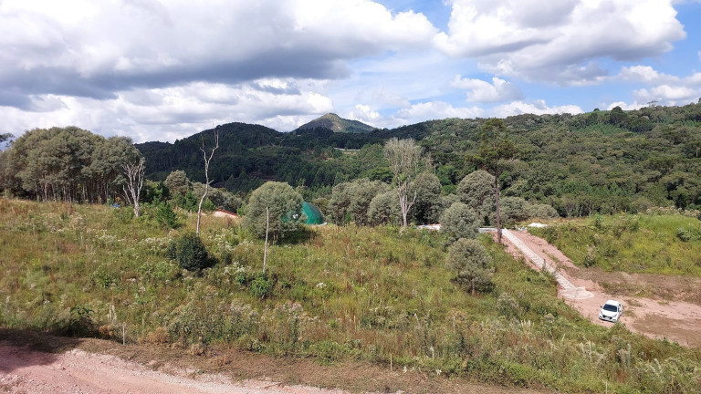 Imagem Chácara com 6 Quartos à Venda, 1 m² em Felpudo - Campo Largo