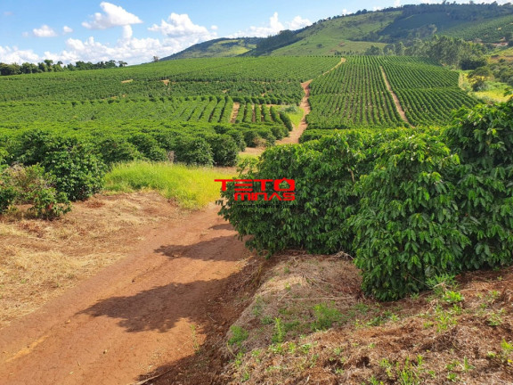 Imagem Imóvel à Venda, em Amparo - Santo Antônio Do Amparo Imagem Imóvel à Venda, em Amparo - Santo Antônio Do Amparo