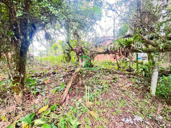 Imagem Imóvel à Venda, 60 m² em Guaraguaçu - Pontal Do Paraná Imagem Imóvel à Venda, 60 m² em Guaraguaçu - Pontal Do Paraná