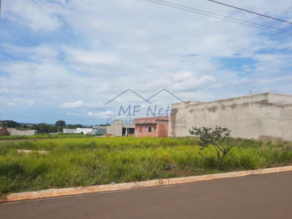 Terreno à Venda, 250 m² em Jardim Alto Das árvores - Pirassununga