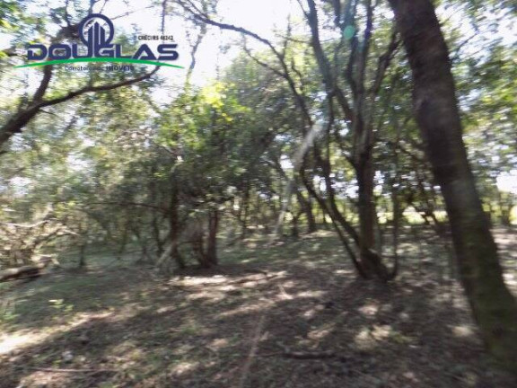 Imagem Chácara à Venda, 20.000 m² em águas Claras - Viamão Imagem Chácara à Venda, 20.000 m² em águas Claras - Viamão