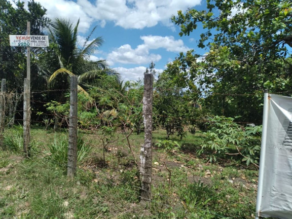Imagem Terreno à Venda, 3.000 m² em Rural - Paudalho Imagem Terreno à Venda, 3.000 m² em Rural - Paudalho
