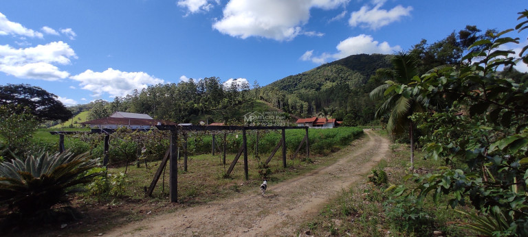 Imagem Imóvel com 4 Quartos à Venda, 7.000 m² em Loro - Major Gercino