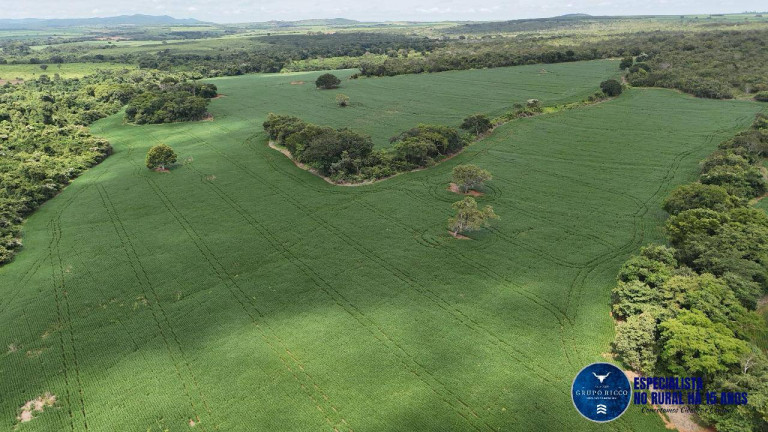 Fazenda à Venda, 39 m² em Zona Rural - Goianésia