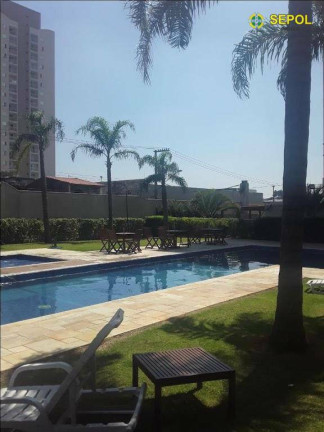 Imagem Apartamento com 2 Quartos à Venda, 50 m² em Vila Antonieta - São Paulo Imagem Apartamento com 2 Quartos à Venda, 50 m² em Vila Antonieta - São Paulo