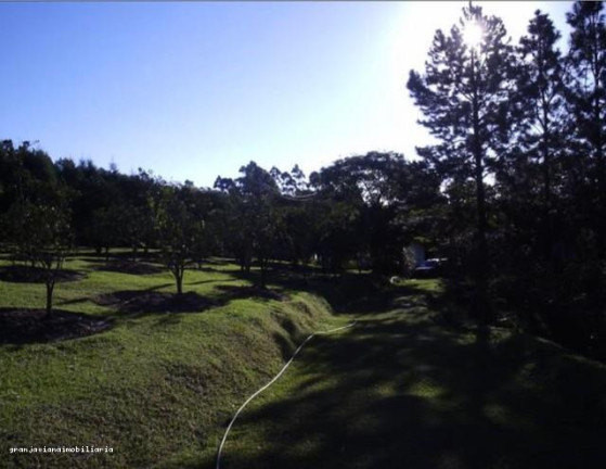 Imagem Terreno à Venda, em Bairro Vila Darcy Penteado - São Roque Imagem Terreno à Venda, em Bairro Vila Darcy Penteado - São Roque