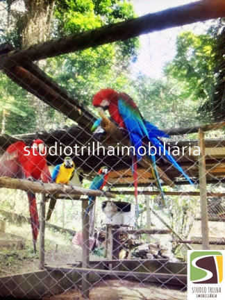 Imagem Terreno à Venda, 4.741 m² em Portinho - Ilhabela Imagem Terreno à Venda, 4.741 m² em Portinho - Ilhabela
