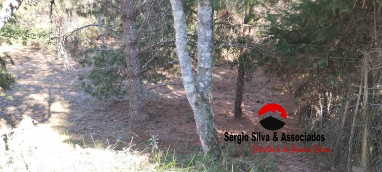 Imagem Terreno à Venda, 1 m² em Campos Do Jordão Imagem Terreno à Venda, 1 m² em Campos Do Jordão