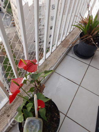 Apartamento com 2 Quartos à Venda, 42 m² em Vila Curuçá - São Paulo
