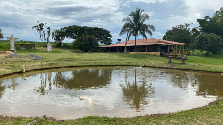 Fazenda à Venda, 390.000 m² em Santa Cruz De Goiás