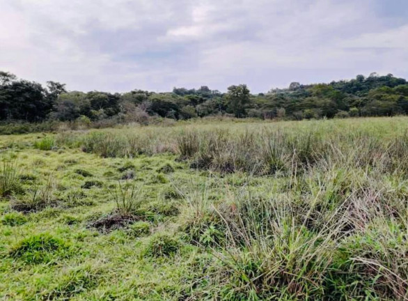 Imagem Terreno à Venda, 580.800 m² em Centro - Capela Do Alto Imagem Terreno à Venda, 580.800 m² em Centro - Capela Do Alto