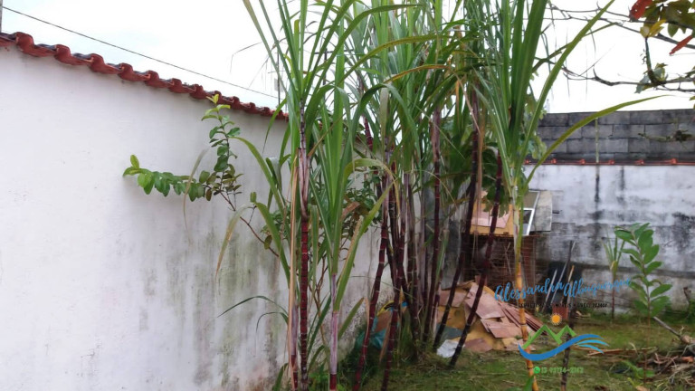 Imagem Casa com 2 Quartos à Venda, 93 m² em Bopiranga - Itanhaém