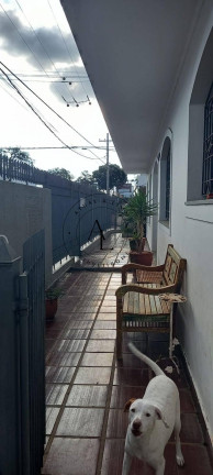 Imagem Casa com 3 Quartos à Venda, 295 m² em Centro - Valinhos Imagem Casa com 3 Quartos à Venda, 295 m² em Centro - Valinhos