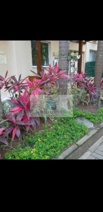Imagem Imóvel com 2 Quartos à Venda, 54 m² em Camorim - Rio De Janeiro Imagem Imóvel com 2 Quartos à Venda, 54 m² em Camorim - Rio De Janeiro