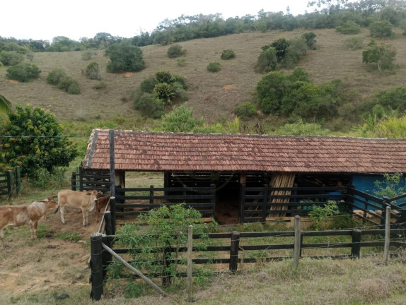 Imagem Chácara com 4 Quartos à Venda, 100 m² em Capim D\'agola - Paraibuna Imagem Chácara com 4 Quartos à Venda, 100 m² em Capim D\'agola - Paraibuna