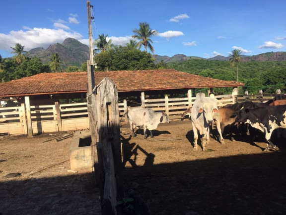 Imagem Imóvel com 2 Quartos à Venda, 113 m² em área Rural De Colatina - Colatina