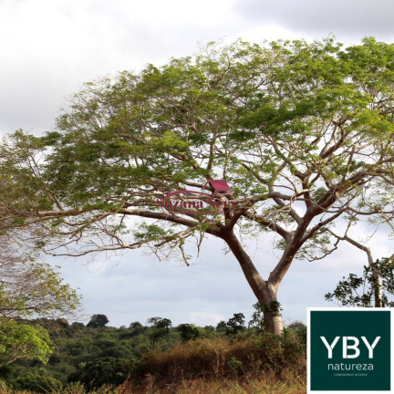 Imagem Terreno à Venda, 390 m² em Parque Das Nações - Parnamirim Imagem Terreno à Venda, 390 m² em Parque Das Nações - Parnamirim