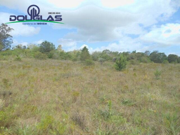 Imagem Imóvel Comercial à Venda, 3.640 m² em Morro Grande - Viamão Imagem Imóvel Comercial à Venda, 3.640 m² em Morro Grande - Viamão