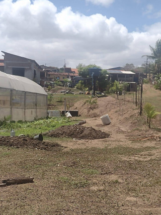 Imagem Chácara com 1 Quarto à Venda, 9.000 m² em Piau - Tibau Do Sul