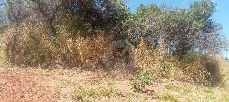 Imagem Terreno à Venda, 39.747 m² em Centro - Contagem Imagem Terreno à Venda, 39.747 m² em Centro - Contagem