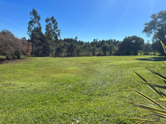 Imagem Imóvel à Venda, 163.630 m² em Cacaiguera - Campina Grande Do Sul Imagem Imóvel à Venda, 163.630 m² em Cacaiguera - Campina Grande Do Sul
