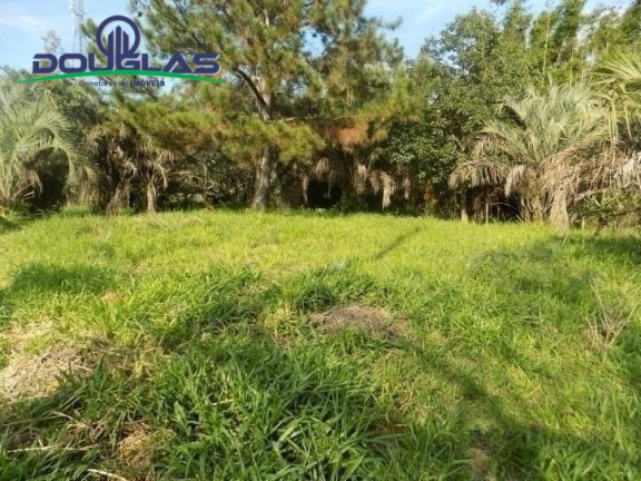Imagem Terreno à Venda, 465 m² em águas Claras - Viamão