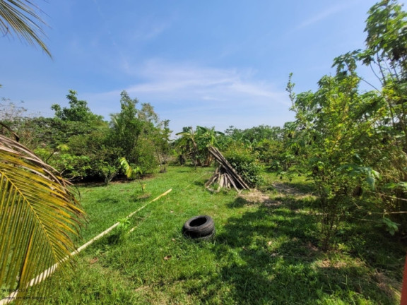 Imagem Chácara à Venda, em área Rural De Porto Velho - Porto Velho Imagem Chácara à Venda, em área Rural De Porto Velho - Porto Velho