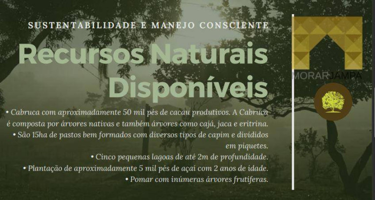 Imagem Fazenda à Venda, 98 m² em Centro - Barro Preto Imagem Fazenda à Venda, 98 m² em Centro - Barro Preto