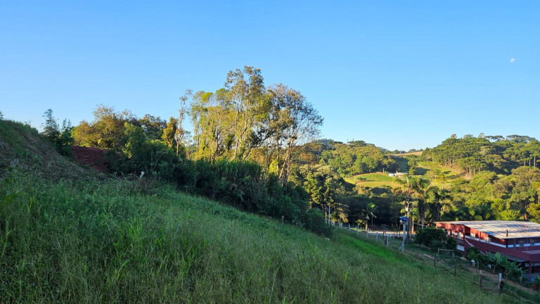 Imagem Fazenda à Venda, em Zona Rural - Araucaria Imagem Fazenda à Venda, em Zona Rural - Araucaria