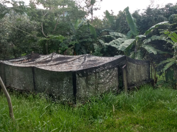 Imagem Imóvel com 6 Quartos à Venda, em São Marcos - Bofete Imagem Imóvel com 6 Quartos à Venda, em São Marcos - Bofete