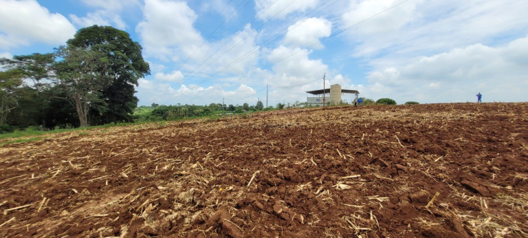 Imagem Imóvel à Venda, 242.000 m² em Centro - Itapetininga Imagem Imóvel à Venda, 242.000 m² em Centro - Itapetininga