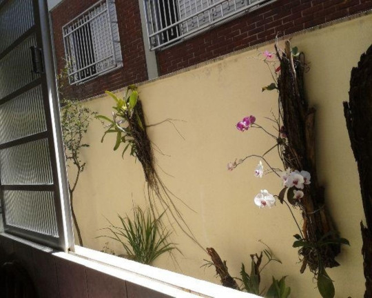 Imagem Sobrado com 4 Quartos à Venda, 294 m² em Jardim Da Glória - São Paulo