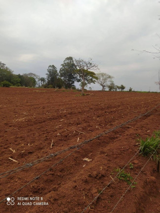 Terreno à Venda, 21.000 m² em Cruz De Cedro - Quadra