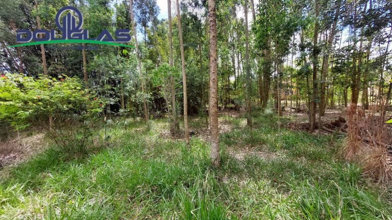 Imagem Terreno à Venda, 462 m² em águas Claras - Viamão