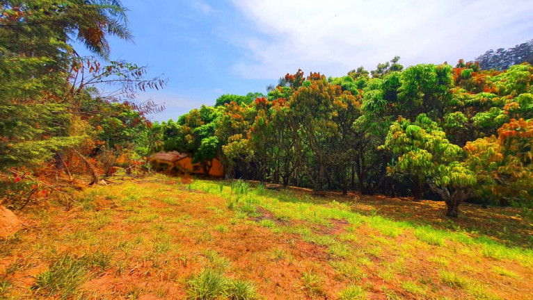 Imagem Imóvel à Venda, 330 m² em Loteamento Bosque Dos Palmares - Atibaia Imagem Imóvel à Venda, 330 m² em Loteamento Bosque Dos Palmares - Atibaia