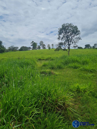 Imagem Chácara à Venda, 7 m² em Zona Rural - Alexânia Imagem Chácara à Venda, 7 m² em Zona Rural - Alexânia
