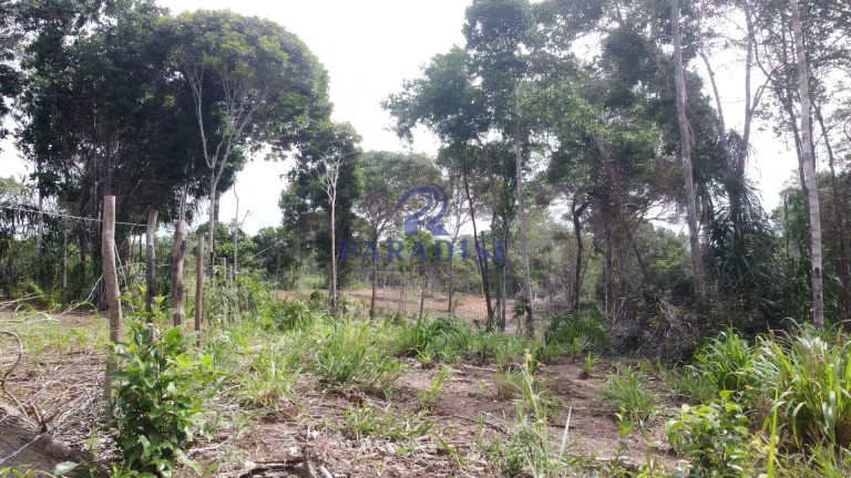 Imagem Fazenda à Venda, 20.000 m² em Barra Do Pojuca - Camaçari Imagem Fazenda à Venda, 20.000 m² em Barra Do Pojuca - Camaçari
