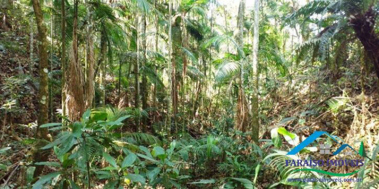 Imagem Chácara à Venda, 155 m² em Centro - Paraisópolis