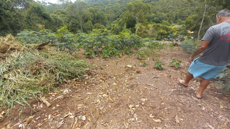Imagem Terreno à Venda, 900 m² em Centro - Nova Friburgo Imagem Terreno à Venda, 900 m² em Centro - Nova Friburgo