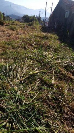 Terreno à Venda, 394 m² em Massaguaçu - Caraguatatuba