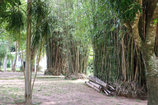 Imagem Casa com 4 Quartos à Venda, 4.672 m² em águas Claras - Viamão