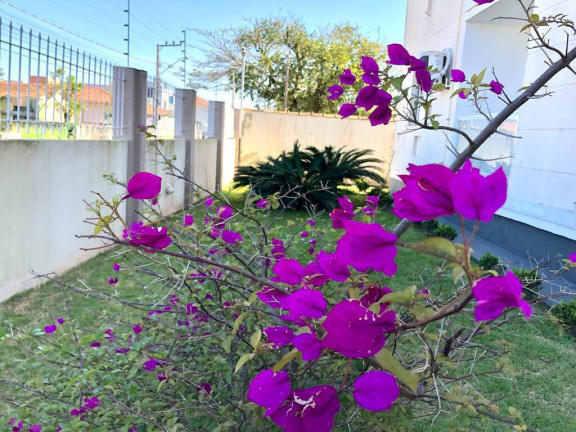 Imagem Apartamento com 2 Quartos à Venda, 55 m² em Praça - Tijucas